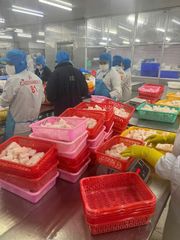 Frozen Cube Pangasius - Image 1