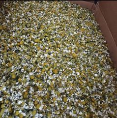 chamomile flower - Image 1
