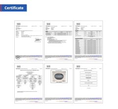 SGS certificate from Fine Silicon Manufacturing(Shanghai)Ltd.