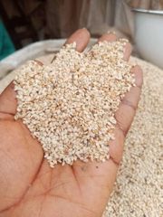 Natural Good Taste White Sesame Price Roasted Wholesale Sesame Seeds - Image 3
