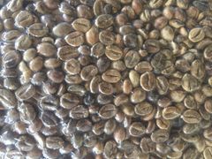 ROBUSTA GREEN COFFEE BEANS SERUNAI 100% Natural Hot Selling Indonesian Best Quality with Reasonable Best Price – product photo 6, product detail gallery