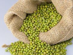 Mung Bean