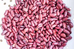 Red Kidney Beans Dry With Rich Color Smooth Texture And Natural Taste Ideal For Home Cooking Restaurants - Image 3