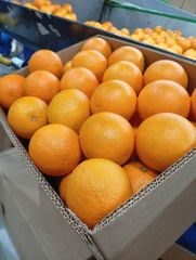 FRESH NAVEL ORANGE FOR SALE!! CLASS 1 EXPORT QUALITY NAVEL ORANGES FOR EXPORT NOW – product photo 3, product detail gallery