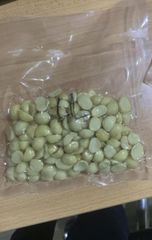 Macadamia Kernels - Image 1