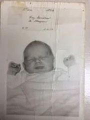 Murder Cases Investigation Service - Image 1