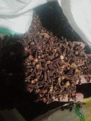 Premium Whole Dried Cloves (Cengkeh) – Indonesia Origin, Export Grade, Eugenol Min 70 - Image 5