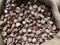 Agriculture, Food & Beverage – product photo 1, product detail gallery