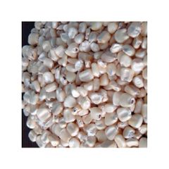 White Corn Brazil frozenchickenexports.com - Image 3