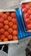 Fresh clementine – product photo 5, product detail gallery