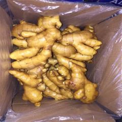 Fresh Ginger High Quality Farm Harvested Roots For Export Markets With Rich Taste And Texture - Image 3