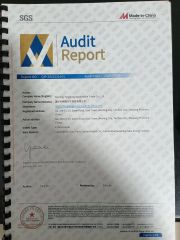 SGS authentication certificate of Wenling Tenglong Automobile Trade Co., Ltd. – certificate photo, supplier certificates section