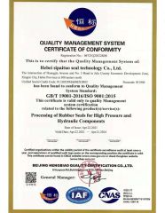 GBT certificate from Hebei SPT Seals Technology Co., Ltd.