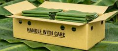 Banana Leaves - Image 1