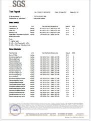 SGS certificate from QINGDAO WISE SECURITY TECHNOLOGY CO., LTD.