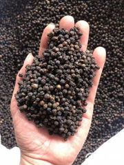 Black pepper Gl530 – product photo 2, product detail gallery