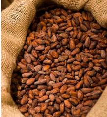 Cocoa Beans – product photo 2, product detail gallery