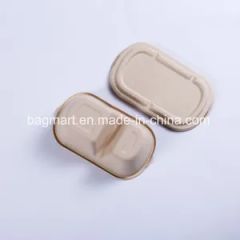 Environmental Friendly Biodegradable Disposable Tableware Meat Dish Dinnerware - Image 3