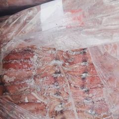 FROZEN ( LOLIGO SQUID ) WHOLE - HIGH QUALITY - Image 3