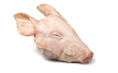 PIG HEAD - Image 2