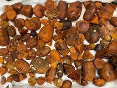 Quality Light Yellow Cattle Bladder Gallstones 100% Whole Stones Top Grade Food Use Available - Image 2