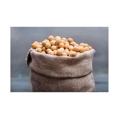 Brazilian Soybeans – product photo 3, product detail gallery