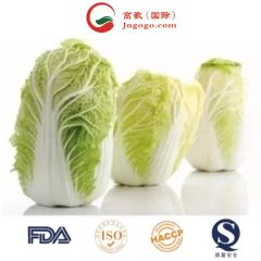 High Quality Chinese Fresh Cabbage Kind Fresh Size 1.5kg Color Green Origin China Trademark GOGO HS Code 0706100001 Place of Origin - Image 4