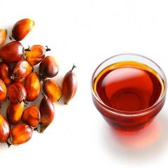 High Quality Pure Refined Palm Oil Cooking Bulk Packed Low Wholesale Price Plant's Oil – product photo 5, product detail gallery
