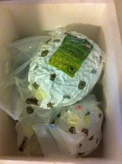 Famous Tropical Asia Golden Musang King Durian Fruit 100% Original Sweet Creamy Thick Texture Ready Stock Export From Malaysia - Image 4