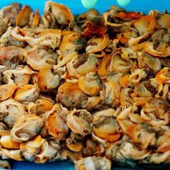 frozen boiled cockle meat Style FROZEN Ingredients 0 Weight (kg) 10 Packaging Bulk Brand Name huayi Manufacturer huayi Storage Type - Image 1