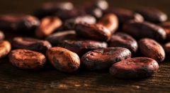 Cocoa Beans