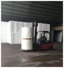 PLA PE Coated Paper Roll for Food Packaging Origin China Pulp Style Virgin Trademark Sunrise Model NO. 150g-400g Pulp Material Wood - Image 6