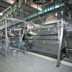 Automatic Metal Electroplating Production Poultry Splaughtering Line - Image 1