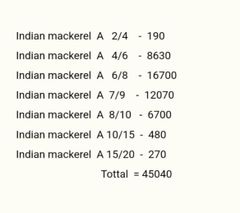 Frozen Indian Mackerel - Image 1