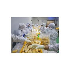Frozen Fruit From Vietnam Frozen Durian Best Export From Sweet Taste Year Round Season Vietnam 24 months Shell Life - Image 2