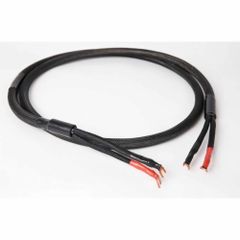 30mm 3 Shielded Speaker Cables, For Networking Diameter 30mm Voltage 230 V Material Copper Number Of Core 3 Patch Panel Type Cat - Image 1