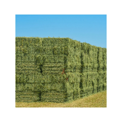 Wholesale Alfalfa Hay Feed at Unbeatable Prices Elevate Health with Premium Pakistani Alfalfa Hay Best Exporter - Image 5