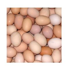 Fresh Brown and White Shell Chicken Eggs - Image 1