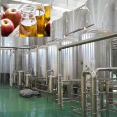 Fruit Vinegar Fermentation Process Line - Image 2