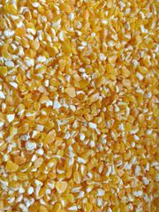 Corn Grits, broken maize, Corn Flour, Corn flaking grits, whole yellow corn - Image 3