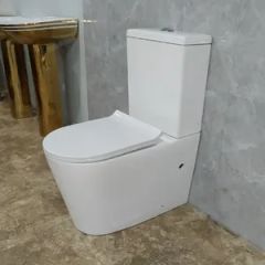 Australian Style Back to Wall Wc S-Trap P-Trap Available Ceramic Rimless Two Piece Toilet - Image 4
