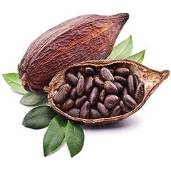 High Grade Ivory Coast Cacao Raw Cocoa Beans Type Cacao Address AFRICA Content PROTEIN Shelf Life 3 YEARS Manufacturer - Image 1