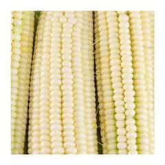 Agro Products Brazil frozenchickenexports.com - Image 1