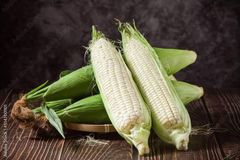Soybean, Milho, Millet, Barley - Image 2