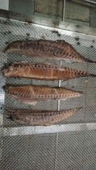 Dried Maasi (Maldive Fish / Masmin) – Hard Dried Tuna, Indian Origin – product photo 3, product detail gallery