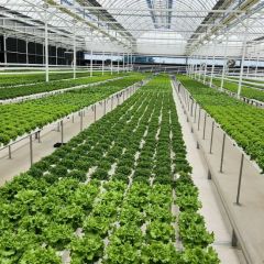 PVC Channel Hydroponics Farm Irrigation Vertical Farming Equipment Hydroponics System - Image 3