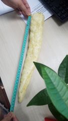 VIETNAM RAW DRIED FISH MAW from PANGASIUS FISH nature AD Food Grade 100% Dried and Natural Fish Maw, No Chemical Bulk packaging - Image 4