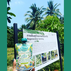 Tanom Coconut Jelly - Image 3