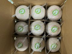 Diamond Coconut - Image 2