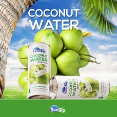 Supplier OEM 100% coconut water no sugar in Viet Nam – product photo 2, product detail gallery